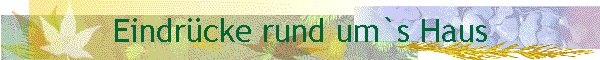 Eindr�cke rund um`s Haus