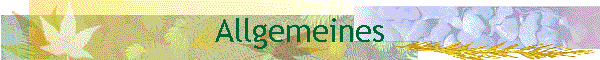 Allgemeines